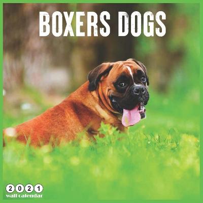 Book cover for Boxers Dogs 2021 Wall Calendar