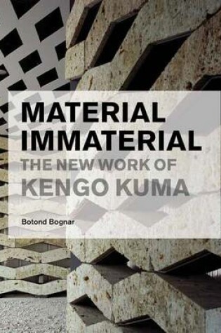 Cover of Material Immaterial