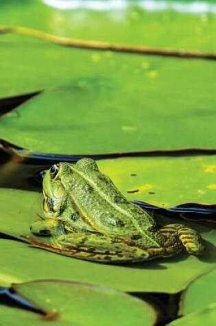 Cover of Lillypad Frog Any Day Planner Notebook