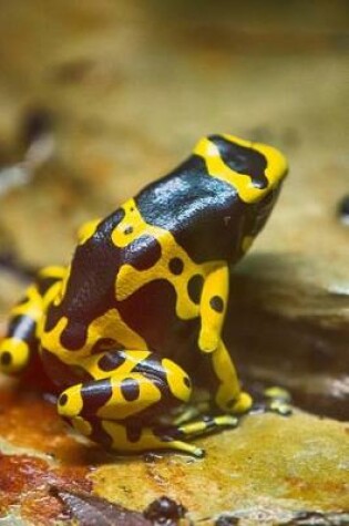 Cover of Stunning Black and Yellow Frog Journal