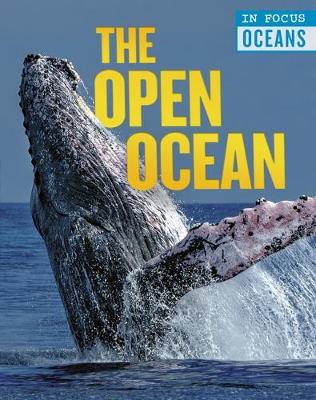 Book cover for The Open Ocean