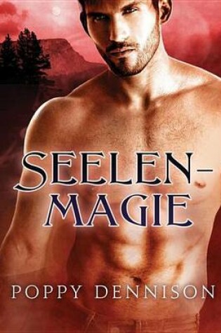 Cover of Seelenmagie