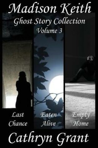 Cover of Madison Keith Ghost Story Collection - Volume 3