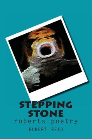 Cover of stepping stone