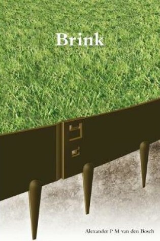 Cover of Brink