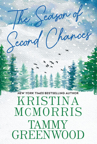 Book cover for The Season of Second Chances