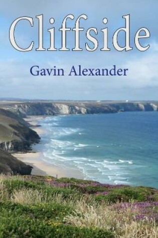 Cover of Cliffside