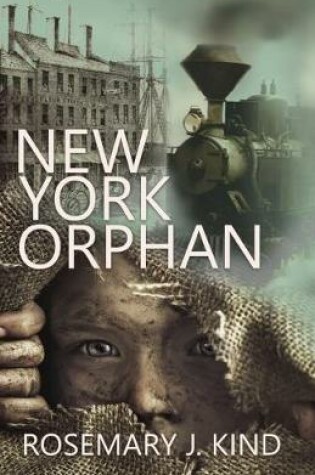 Cover of New York Orphan