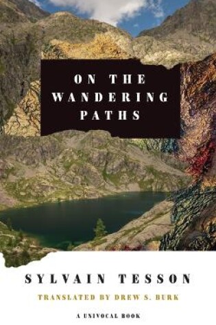 Cover of On the Wandering Paths