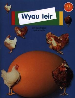 Book cover for Project Llyfrau Longman: Wyau Ieir