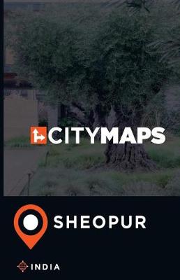 Book cover for City Maps Sheopur India