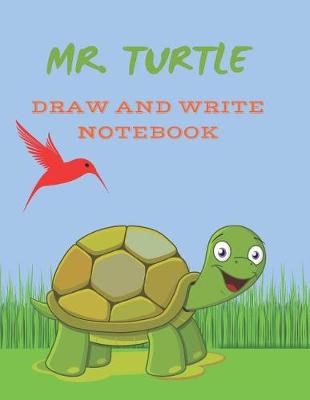 Book cover for Mr. Turtle