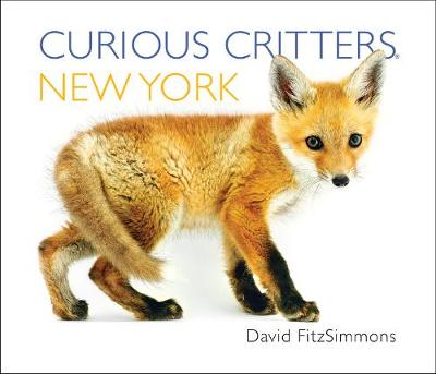 Book cover for Curious Critters New York