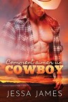 Book cover for Comment aimer un cowboy