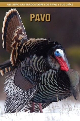 Cover of Pavo