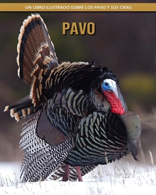 Book cover for Pavo