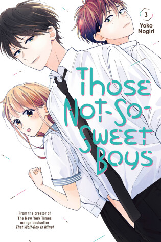 Cover of Those Not-So-Sweet Boys 3