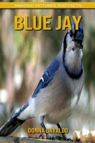 Cover of Blue Jay