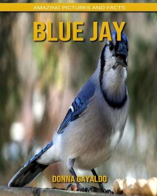 Book cover for Blue Jay