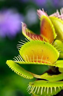 Book cover for Dionaea Muscipula aka Venus Flytrap Plant Journal