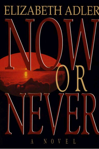 Cover of Now or Never