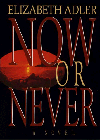 Book cover for Now or Never