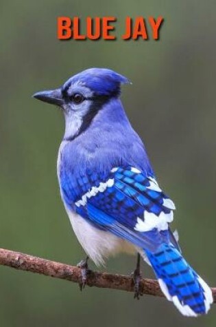 Cover of Blue Jay