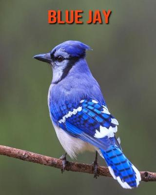 Book cover for Blue Jay