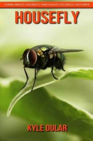 Cover of Housefly! Learn about Housefly and Enjoy Colorful Pictures
