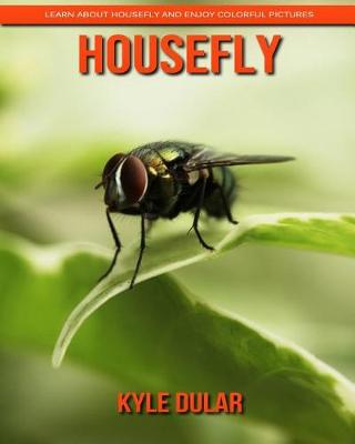 Book cover for Housefly! Learn about Housefly and Enjoy Colorful Pictures