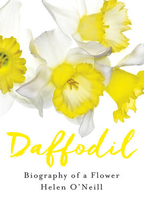 Book cover for Daffodil