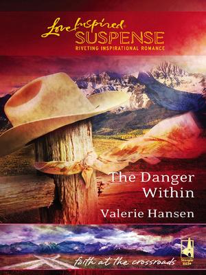 Book cover for The Danger Within