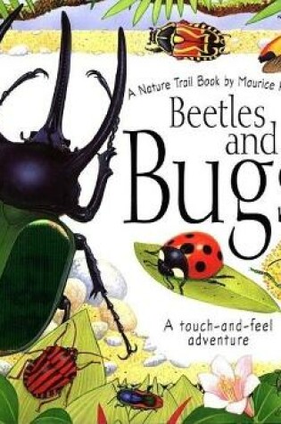 Cover of Beetles and Bugs