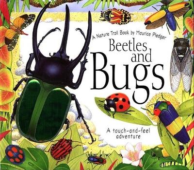 Cover of Beetles and Bugs