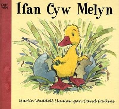 Book cover for Ifan Cyw Melyn