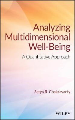 Book cover for Analyzing Multidimensional Well-Being