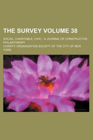 Cover of The Survey Volume 38; Social, Charitable, Civic a Journal of Constructive Philanthropy