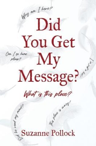 Cover of Did You Get My Message?