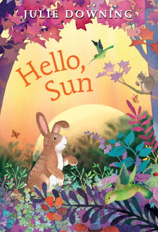 Book cover for Hello, Sun