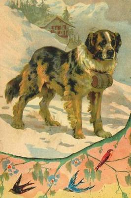 Book cover for St. Bernard Rescue Dog
