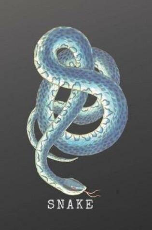 Cover of Snake