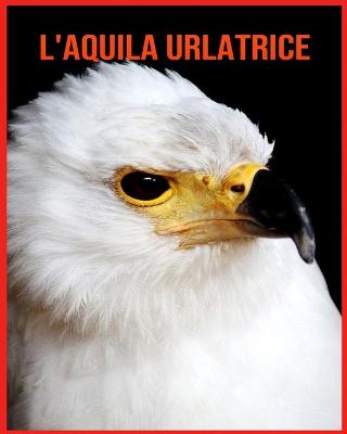 Book cover for L'aquila Urlatrice