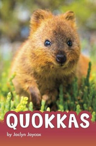 Cover of Quokkas