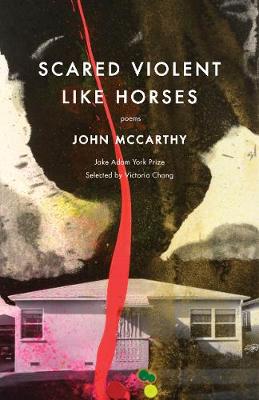 Book cover for Scared Violent Like Horses