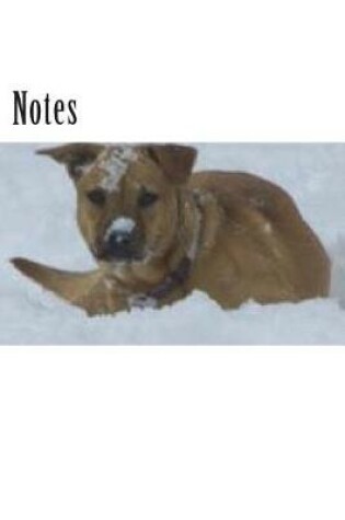 Cover of Notes