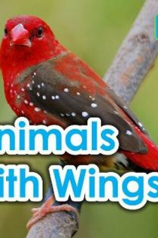 Cover of Animals with Wings