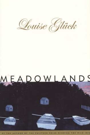 Cover of Meadowlands (Cloth)