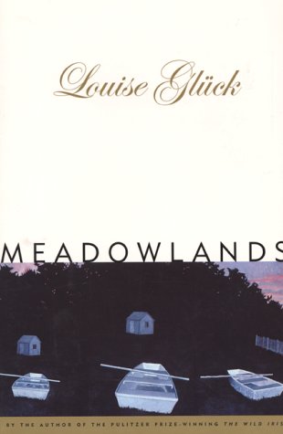 Book cover for Meadowlands (Cloth)