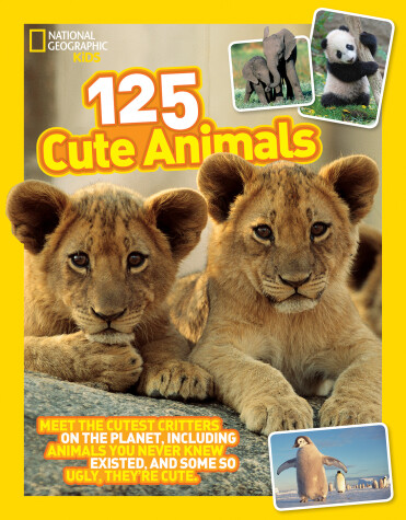 Book cover for 125 Cute Animals