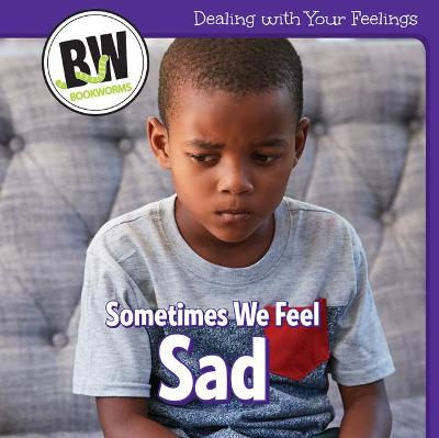 Book cover for Sometimes We Feel Sad